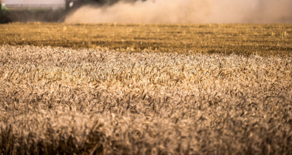 Peluang Lowongan Pekerjaan Musiman di Jerman untuk Orang Indonesia